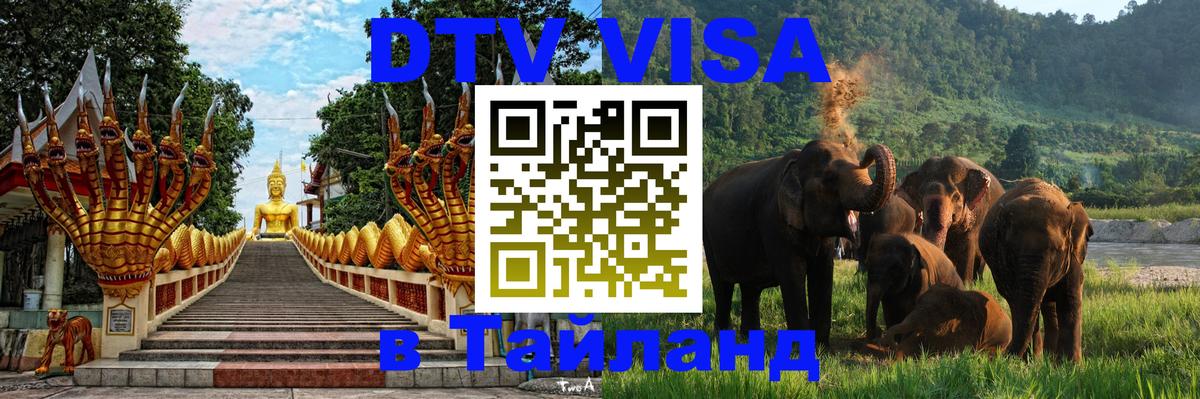 Оформление DTV визы под ключ: стоимость и тарифы, только загранпаспорт - 06.12.2025 